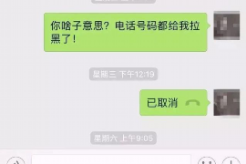 文山为什么选择专业追讨公司来处理您的债务纠纷？